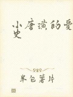 小唐璜的爱情历史