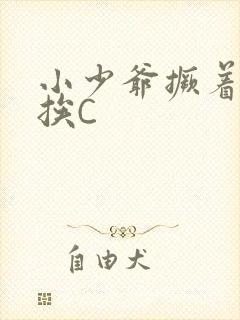 小少爷撅着屁股挨C封面