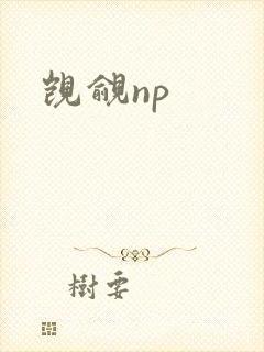 觊觎np