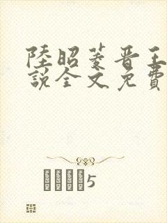 陆昭菱晋王的小说全文免费阅读