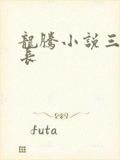 龙腾小说三宝局长