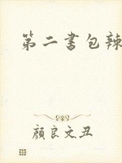 第二书包辣文