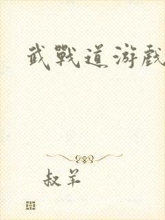 武战道游戏