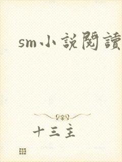 sm小说阅读