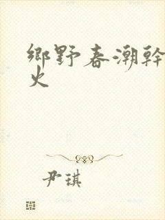 乡野春潮干柴烈火封面