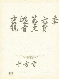 密逃第六季在线观看免费