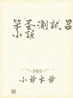 笨蛋测试召唤兽小说