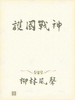 护国战神封面