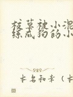 校草被小混混训练成狗的小说