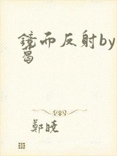 镜面反射by九葛