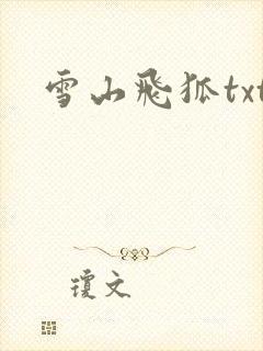 雪山飞狐txt封面