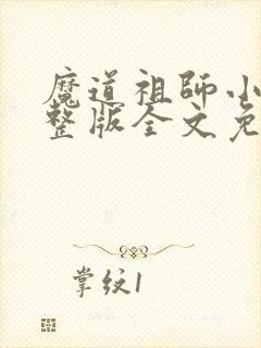 魔道祖师小说完整版全文免费阅读封面