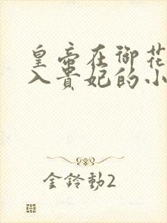 皇帝在御花园进入贵妃的小说