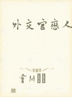 外交官恋人小说