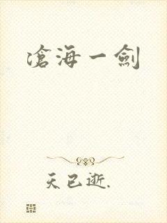 沧海一剑封面
