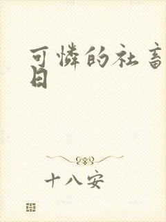 可怜的社畜东度日封面