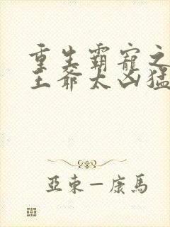 重生霸宠之摄政王爷太凶猛