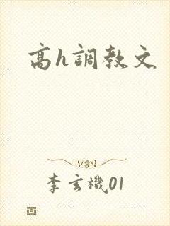 高h调教文