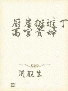 厨房挺进丁字裤高官贵妇