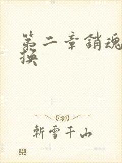 第二章销魂的交换