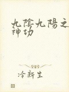 九阴九阳之阴阳神功封面