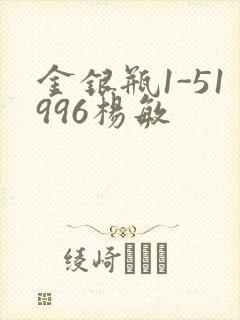 金银瓶1-51996杨敏封面