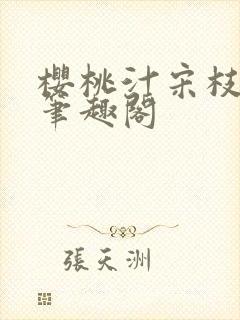 樱桃汁宋枝江野笔趣阁封面