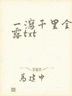 一泻千里金银花露txt