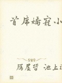 首席娇宠小情人