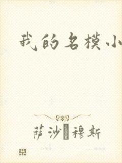 我的名模小娇妻