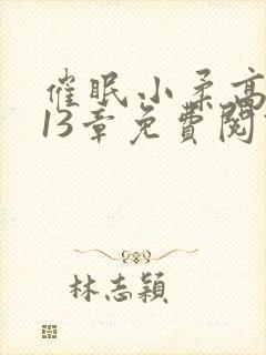 催眠小柔高达第13章免费阅读封面