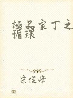 极品家丁之因果循环