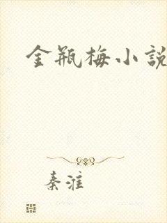 金瓶梅小说