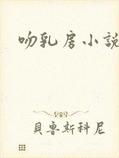 吻乳房小说封面