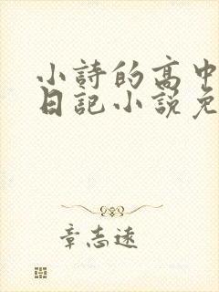 小诗的高中成长日记小说免费阅读封面