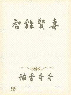 智能贤妻封面
