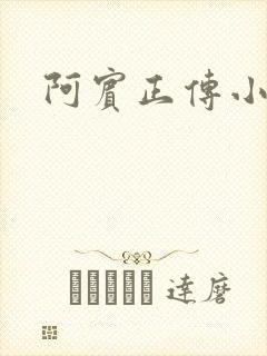 阿宾正传小说封面