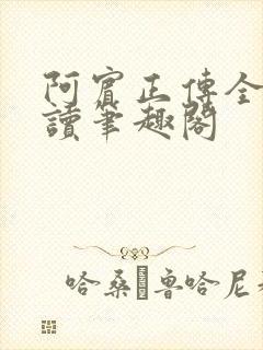 阿宾正传全文阅读笔趣阁