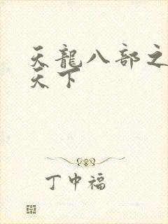 天龙八部之猎美天下封面