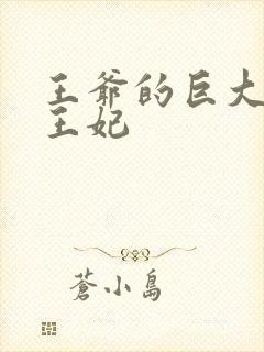 王爷的巨大进入王妃