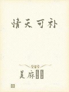 情天可补