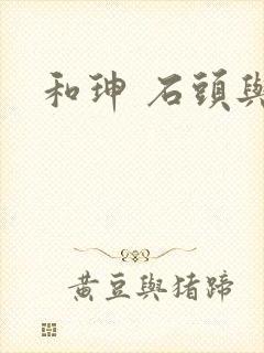 和珅 石头与水封面