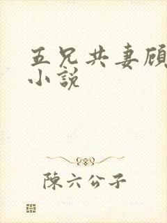 五兄共妻顾心儿小说