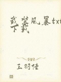 武装风暴txt下载封面