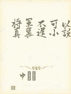 将军不可以魏云真慕迟小说笔趣阁