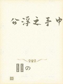 公浮之手中字5封面