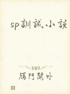 sp训诫小说封面