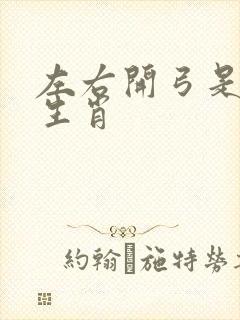 左右开弓是什么生肖