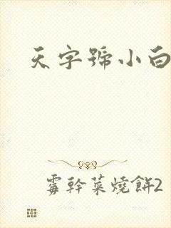 天字号小白脸