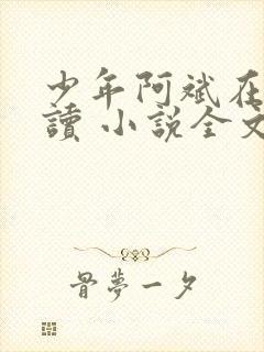 少年阿斌在线阅读 小说全文免费封面